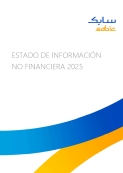 Estado informe de informacion no financiera 2025 image