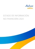 Estado informe de informacion no financiera 2024 image