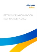 Estado de informacion no financiera 2022
